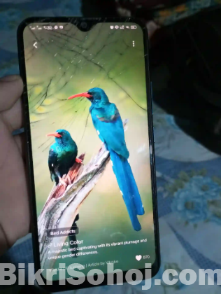 Vivo y11